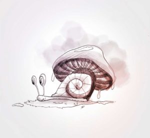 8 - mai - escargot - dessin - vivien - durisotti - design - experience