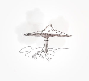 22 janvier 2021 - recherches graphismes Fil&amp;fog - durisotti - design - experience - un - jour - un - dessin - dessin - vivien - durisotti - design - experience - un - jour - un - dessin