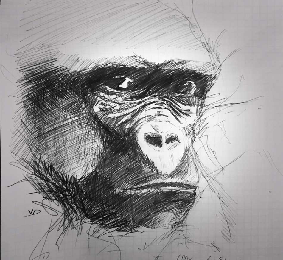 27 août 2019 - vallée des singes - dessin - vivien - durisotti - design - experience - un - jour - un - dessin