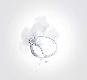 17 septembre 2021 - Coque - design - experience - un - jour - un - dessin - dessin - vivien - durisotti - design - experience - un - jour - un - dessin